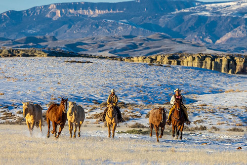 USA- Wyoming. Hideout Horse Ranch- wranglers and horses. Poster Print - Hollice Looney