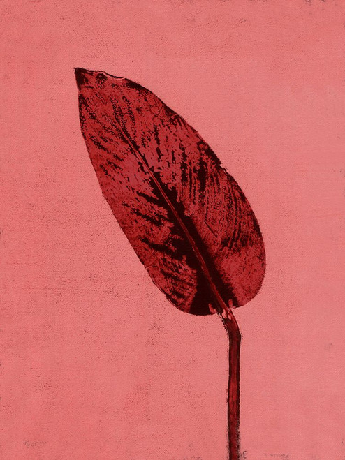Calathea Red Poster Print - Pernille Folcarelli