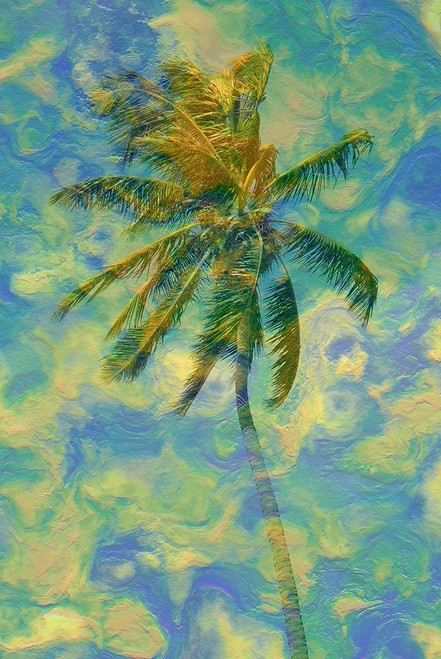 Cocoa Palm Poster Print - Jamie Phillip