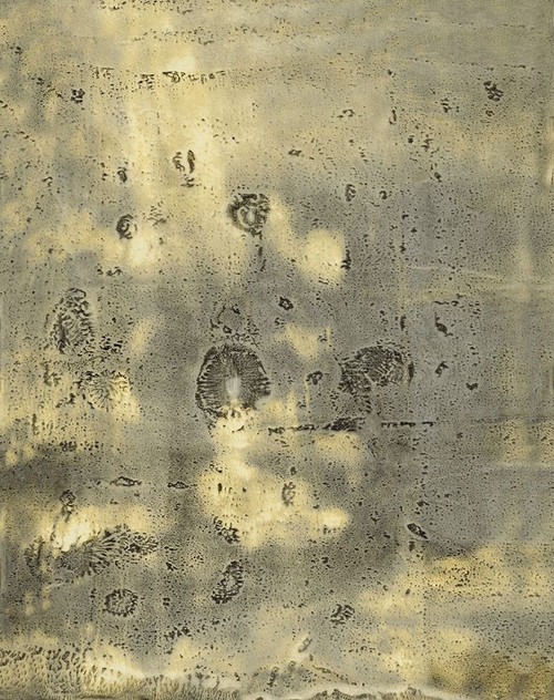 Relic-1L Poster Print - Melissa Renee