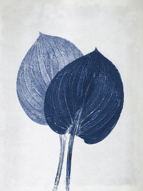 Hosta 2 Blue Poster Print - Pernille Folcarelli