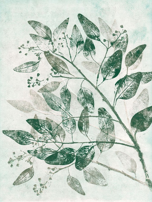 Eucalyptus 1 Green Poster Print - Pernille Folcarelli