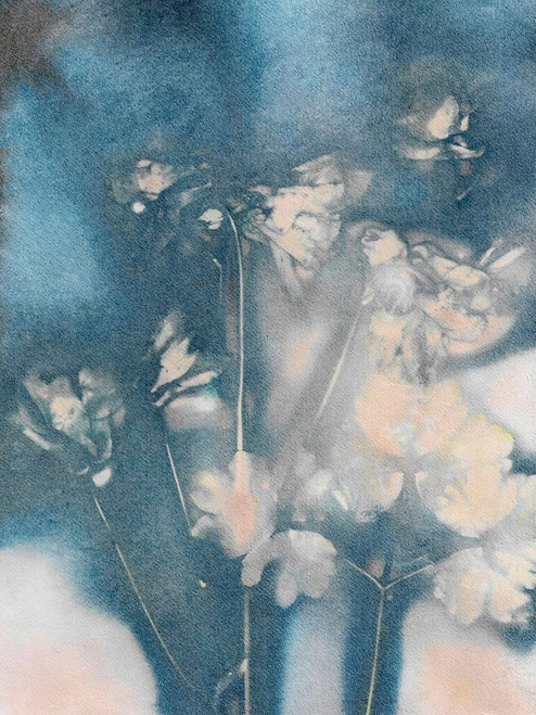 Columbine 2 Peach Blue Poster Print - Pernille Folcarelli