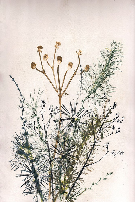 Bouquet 5 Poster Print - Pernille Folcarelli