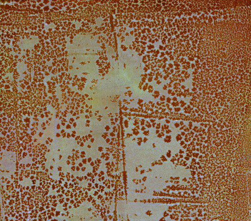 Mesh-NOR Poster Print - Melissa Renee