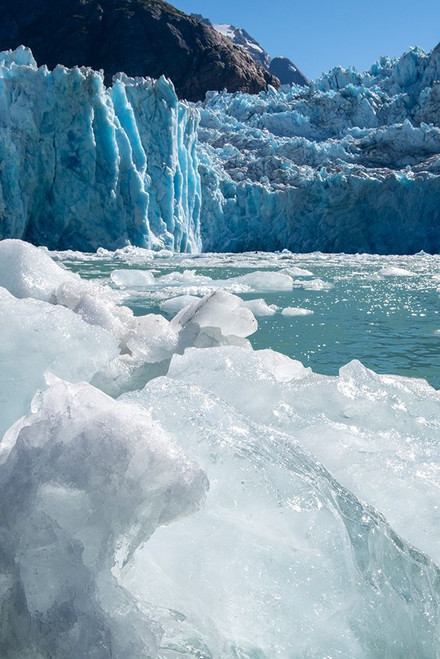 USA-SE Alaska-Inside Passage-Fords Terror Wilderness-Tracy Arm-South Sawyer Glacier. Poster Print - Cindy Miller Hopkins