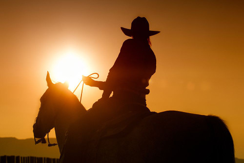 Last Run Poster Print - Lisa Dearing