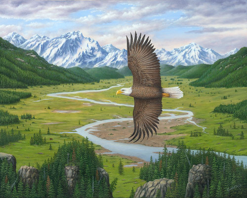 Soaring Above Poster Print - Robert Wavra