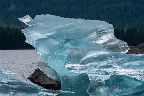 Crystalline iceberg shines in Endicott Arm. Poster Print - Betty Sederquist