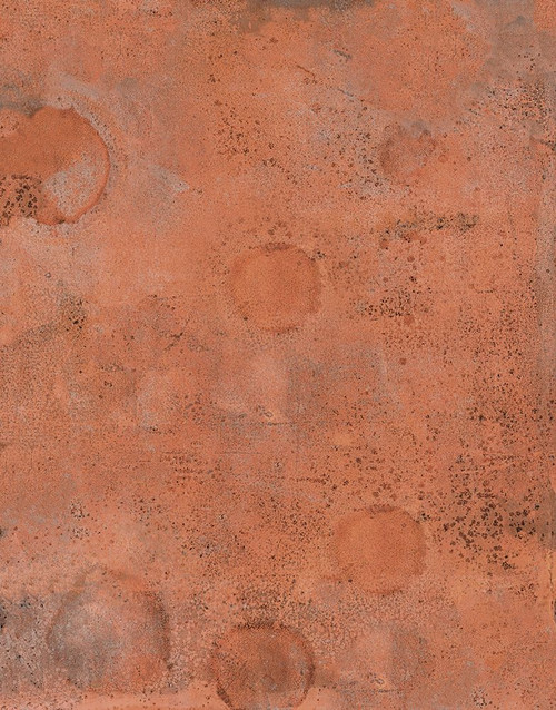 Market-OR Poster Print - Melissa Renee