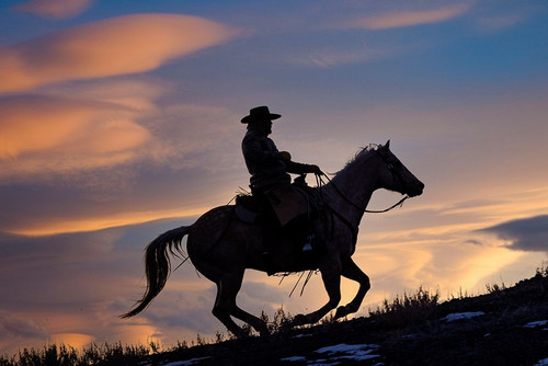 USA- Shell- Wyoming. Hideout Ranch cowboy on horseback silhouetted at sunset. Poster Print - Darrell Gulin