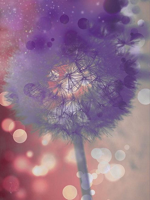 Wishful Thinking I Poster Print - Tina Lavoie