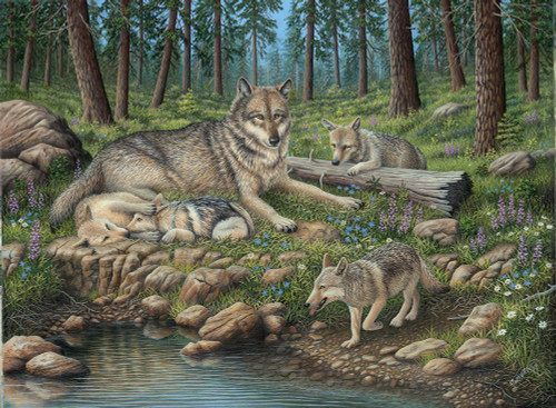 Grey Wolf Mother And Pups Poster Print - Robert Wavra