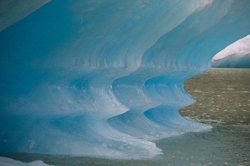 Blue iceberg glows in Shakes Lake. Poster Print - Betty Sederquist