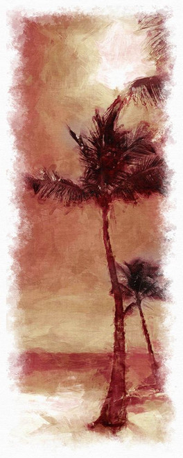 Sunset Palm 1 Poster Print - Noah Bay