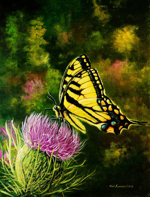 Butterfly Poster Print - Richard Summers