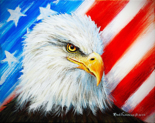 American Eagle Poster Print - Richard Summers