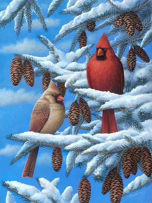 Cardinals Poster Print - Robert Wavra