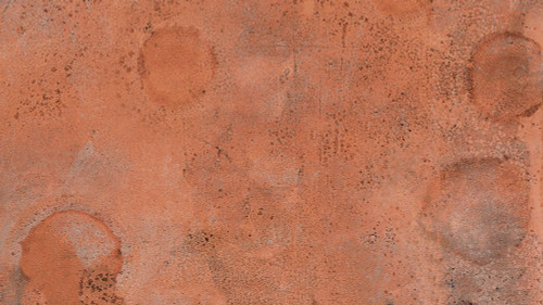 Market-O1 Poster Print - Melissa Renee