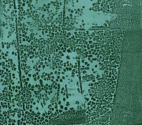 Mesh-NGRNR Poster Print - Melissa Renee