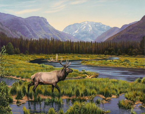 Meadows of Grand Lake, Colorado Poster Print - John Zaccheo