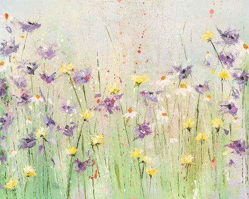 Clematis Poster Print - Emma Coghlan