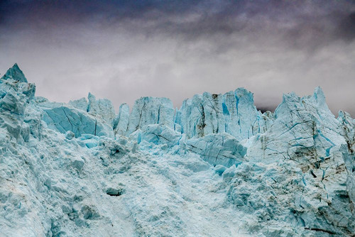 Blue ice characterizes the face of Margerie Glacier. Poster Print - Betty Sederquist