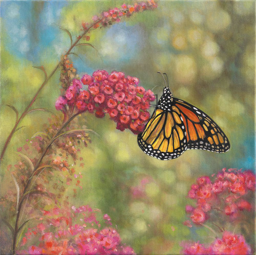 Monarch Butterfly Poster Print - John Zaccheo
