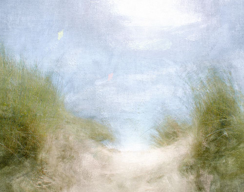 Dune Hill Poster Print - Noah Bay