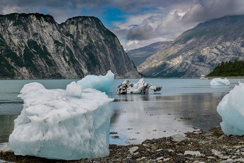 Beached icebergs from nearby McBride Glacier sit on a Muir Inlet beach. Poster Print - Betty Sederquist
