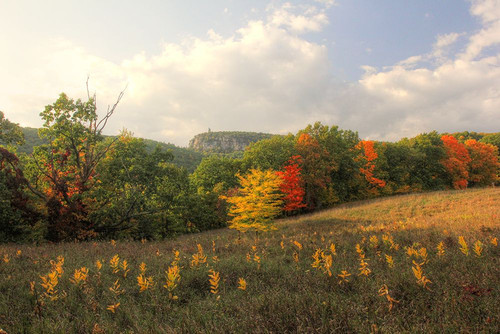 Mohonk Autumn Poster Print - Robert Goldwitz