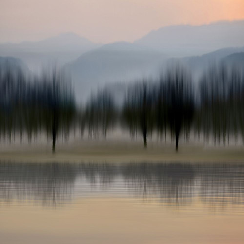 Early Morning IV Poster Print - Madeline Clark