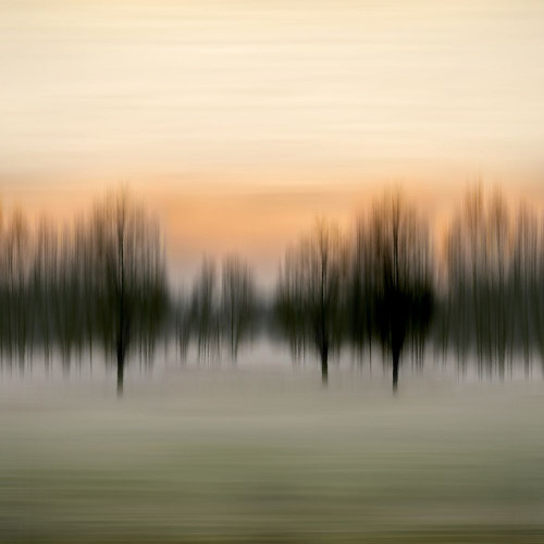 Early Morning VI Poster Print - Madeline Clark