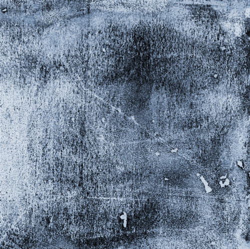 Radar-R3 Poster Print - Melissa Renee