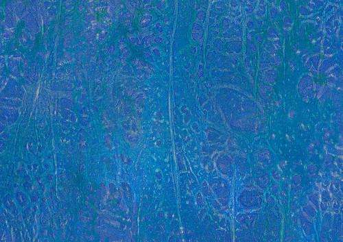 Intertwined-5L Poster Print - Melissa Renee