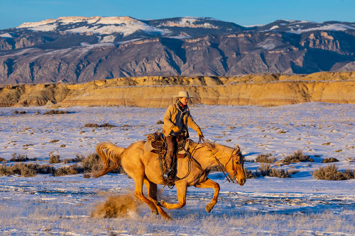 USA- Shell- Wyoming. Hideout Ranch cowgirl riding fast snows. Poster Print - Darrell Gulin