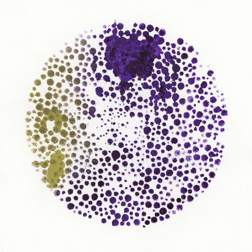 Hide And Seek II Poster Print - Michelle Oppenheimer