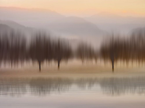 Early Morning I Poster Print - Madeline Clark