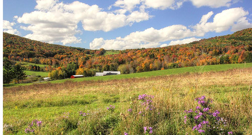 Nestled Barns in Fall Poster Print - Robert Goldwitz