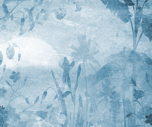 Eden Poster Print - Noah Bay