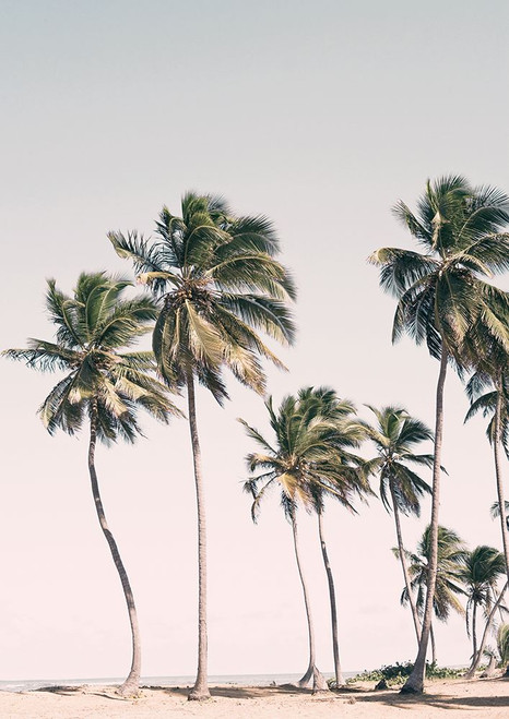 Tropical Paradise Poster Print - and Seb Sisi