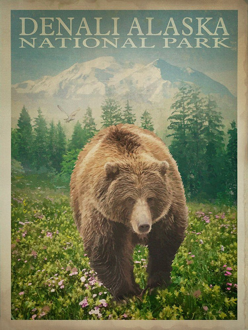 Denali Alaska Poster Print - Red Truck Old