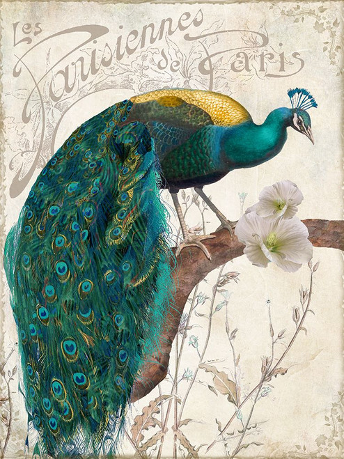 Les Paons II Poster Print - Sasha