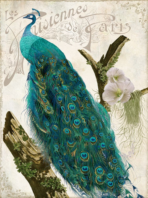 Les Paons I Poster Print - Sasha