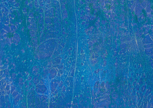 Intertwined-6L Poster Print - Melissa Renee