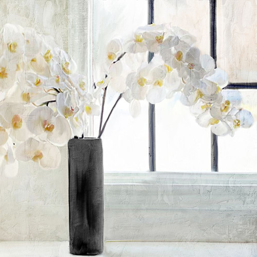 Orchid Window Poster Print - Kimberly Allen