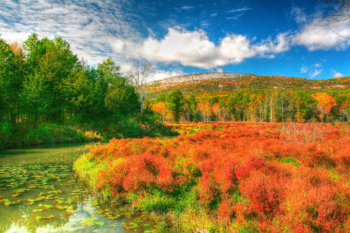 Whitecliffs Poster Print - Robert Goldwitz