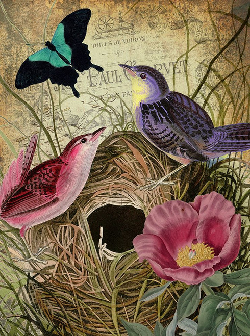 Petals and Wings IV Poster Print - Sasha