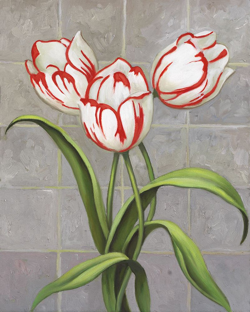 Red-Striped Tulips Poster Print - John Zaccheo