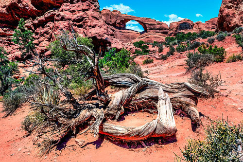 Skyline Arch-Arches National Park-Moab-Utah-USA. Poster Print - William Perry
